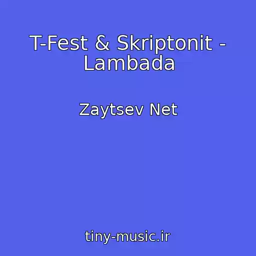 کاور آهنگ T-Fest & Skriptonit - Lambada از Zaytsev Net