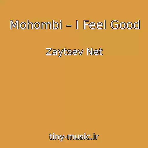 کاور آهنگ Mohombi – I Feel Good از Zaytsev Net