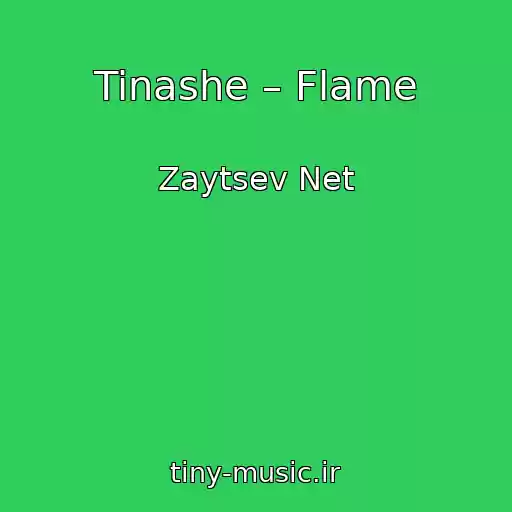کاور آهنگ Tinashe – Flame از Zaytsev Net