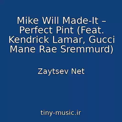 کاور آهنگ Mike Will Made-It – Perfect Pint (Feat. Kendrick Lamar, Gucci Mane Rae Sremmurd) از Zaytsev Net