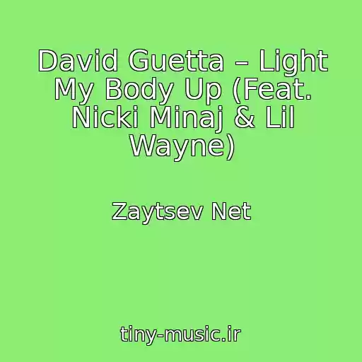 کاور آهنگ David Guetta – Light My Body Up (Feat. Nicki Minaj & Lil Wayne) از Zaytsev Net
