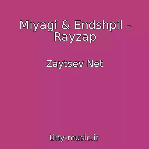 کاور آهنگ Miyagi & Endshpil - Rayzap از Zaytsev Net