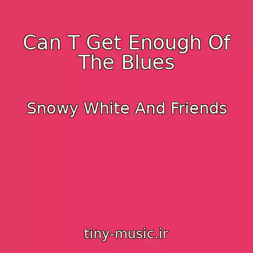کاور آهنگ Can T Get Enough Of The Blues از Snowy White And Friends