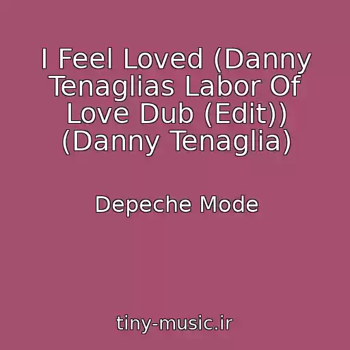کاور آهنگ I Feel Loved (Danny Tenaglias Labor Of Love Dub (Edit)) (Danny Tenaglia) از Depeche Mode