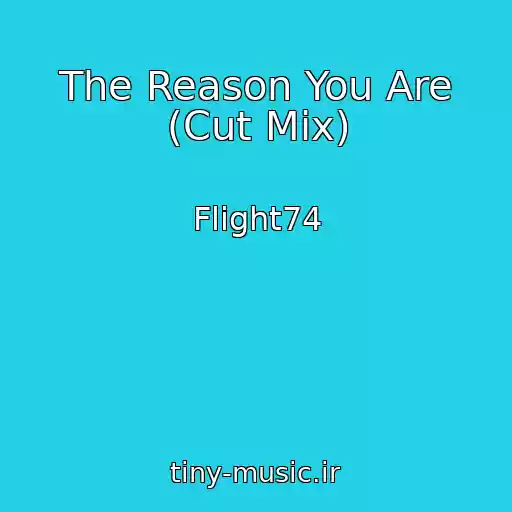 کاور آهنگ The Reason You Are (Cut Mix) از Flight74