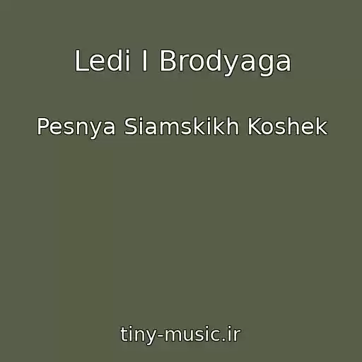 کاور آهنگ Ledi I Brodyaga از Pesnya Siamskikh Koshek
