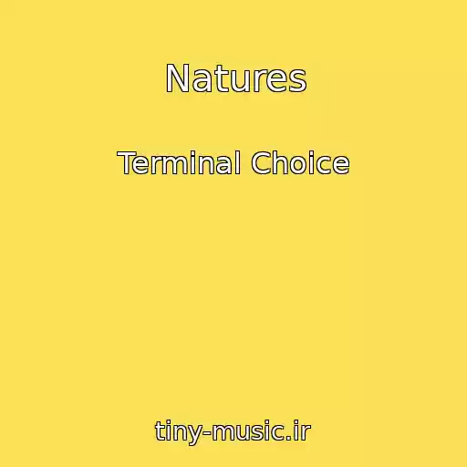 کاور آهنگ Natures از Terminal Choice