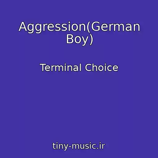 کاور آهنگ Aggression(German Boy) از Terminal Choice