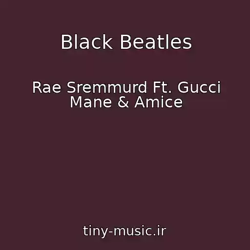 کاور آهنگ Black Beatles از Rae Sremmurd Ft. Gucci Mane & Amice