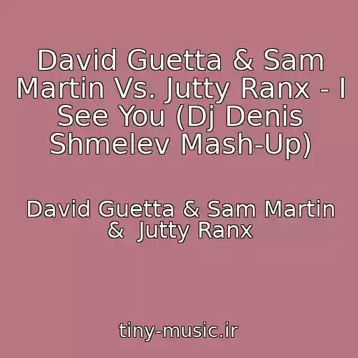 کاور آهنگ David Guetta & Sam Martin Vs. Jutty Ranx - I See You (Dj Denis Shmelev Mash-Up) از David Guetta & Sam Martin &  Jutty Ranx