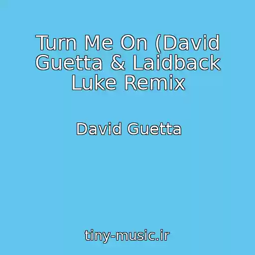 کاور آهنگ Turn Me On (David Guetta & Laidback Luke Remix از David Guetta