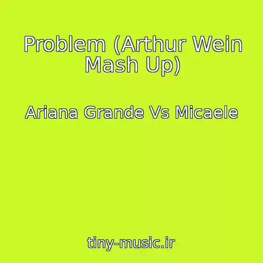 کاور آهنگ Problem (Arthur Wein Mash Up) از Ariana Grande Vs Micaele
