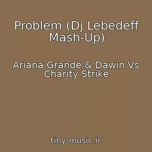 کاور آهنگ Problem (Dj Lebedeff Mash-Up) از Ariana Grande & Dawin Vs Charity Strike