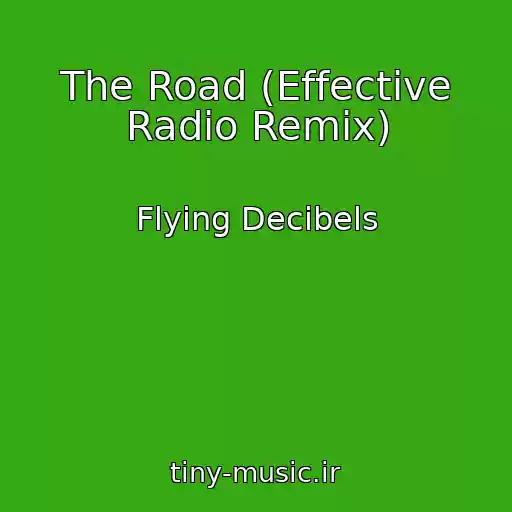 کاور آهنگ The Road (Effective Radio Remix) از Flying Decibels