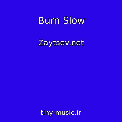 کاور آهنگ Burn Slow از Zaytsev.net
