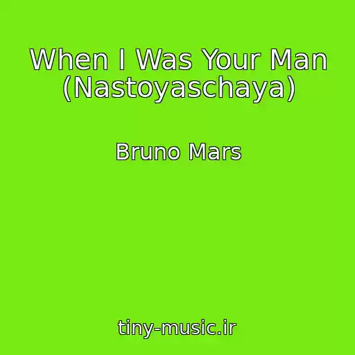 کاور آهنگ When I Was Your Man (Nastoyaschaya) از Bruno Mars