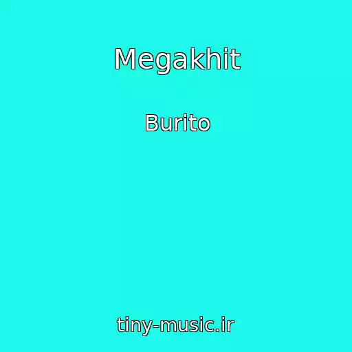 کاور آهنگ Megakhit از Burito