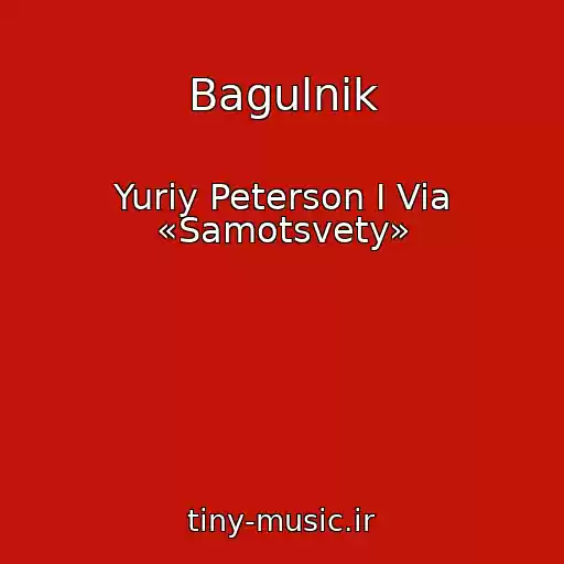 کاور آهنگ Bagulnik از Yuriy Peterson I Via «Samotsvety»