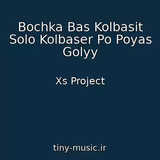 کاور آهنگ Bochka Bas Kolbasit Solo Kolbaser Po Poyas Golyy از Xs Project