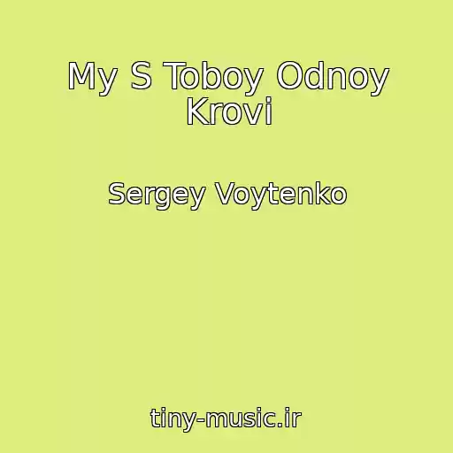 کاور آهنگ My S Toboy Odnoy Krovi از Sergey Voytenko