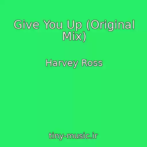 کاور آهنگ Give You Up (Original Mix) از Harvey Ross