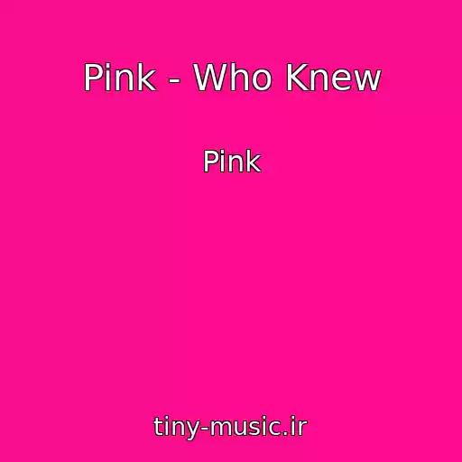کاور آهنگ Pink - Who Knew از Pink