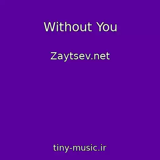 کاور آهنگ Without You از Zaytsev.net