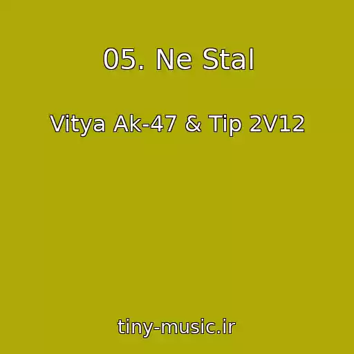 کاور آهنگ 05. Ne Stal از Vitya Ak-47 & Tip 2V12
