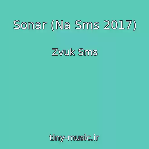 کاور آهنگ Sonar (Na Sms 2017) از Zvuk Sms