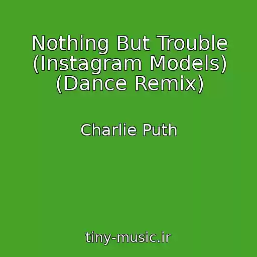 کاور آهنگ Nothing But Trouble (Instagram Models) (Dance Remix) از Charlie Puth