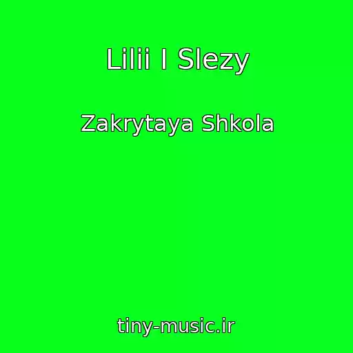کاور آهنگ Lilii I Slezy از Zakrytaya Shkola