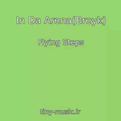کاور آهنگ In Da Arena(Breyk) از Flying Steps
