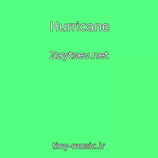 کاور آهنگ Hurricane از Zaytsev.net