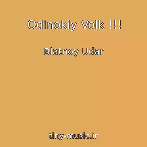 کاور آهنگ Odinokiy Volk !!! از Blatnoy Udar