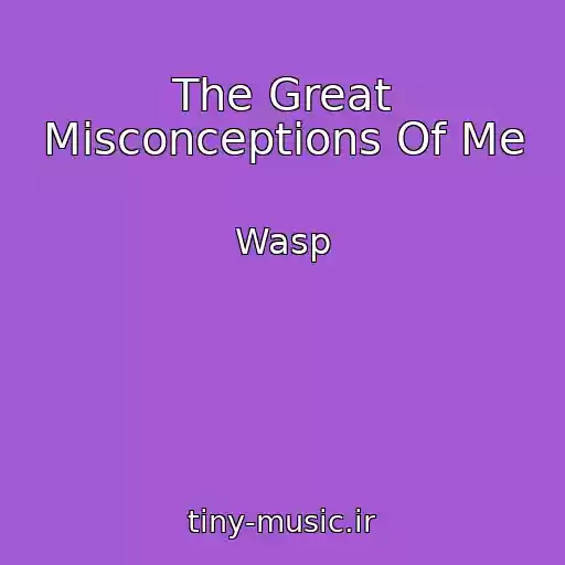 کاور آهنگ The Great Misconceptions Of Me از Wasp