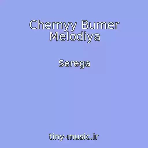 کاور آهنگ Chernyy Bumer Melodiya از Serega