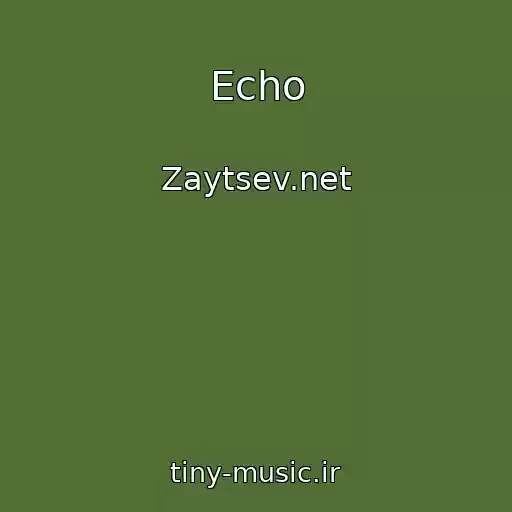 کاور آهنگ Echo از Zaytsev.net