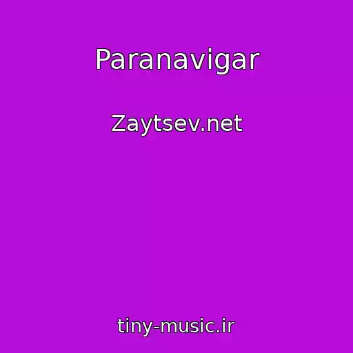 کاور آهنگ Paranavigar از Zaytsev.net