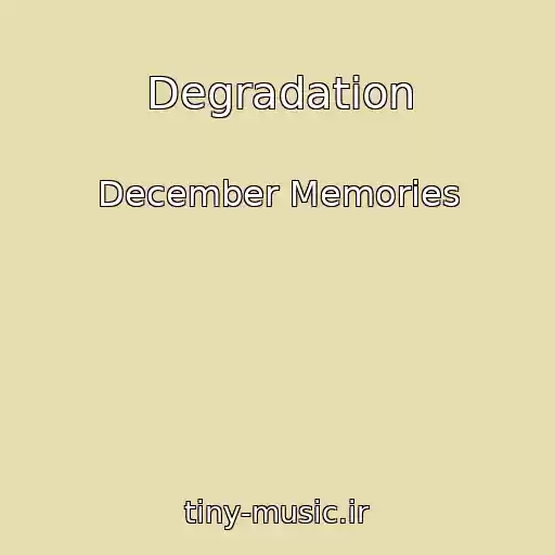 کاور آهنگ Degradation از December Memories
