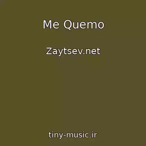 کاور آهنگ Me Quemo از Zaytsev.net