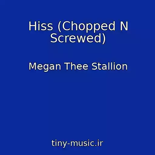 کاور آهنگ Hiss (Chopped N Screwed) از Megan Thee Stallion