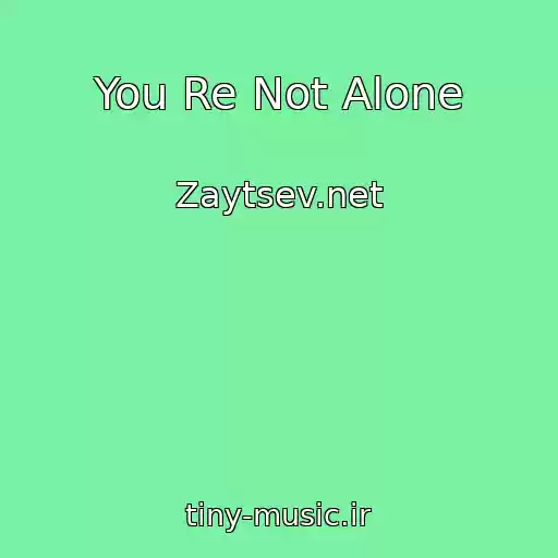 کاور آهنگ You Re Not Alone از Zaytsev.net