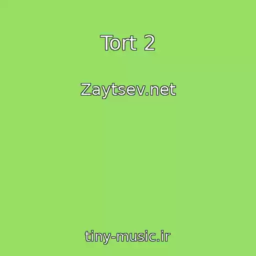 کاور آهنگ Tort 2 از Zaytsev.net