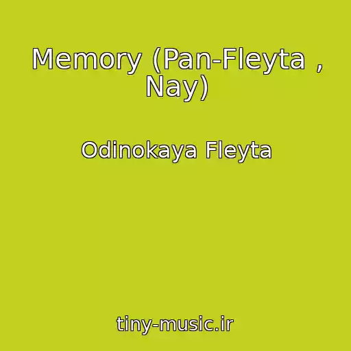 کاور آهنگ Memory (Pan-Fleyta , Nay) از Odinokaya Fleyta