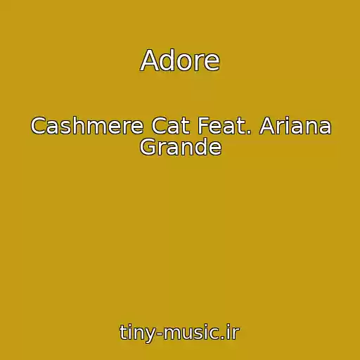 کاور آهنگ Adore از Cashmere Cat Feat. Ariana Grande