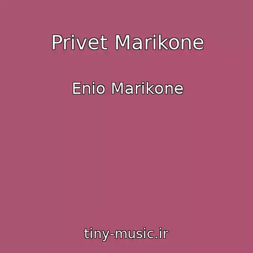 کاور آهنگ Privet Marikone از Enio Marikone
