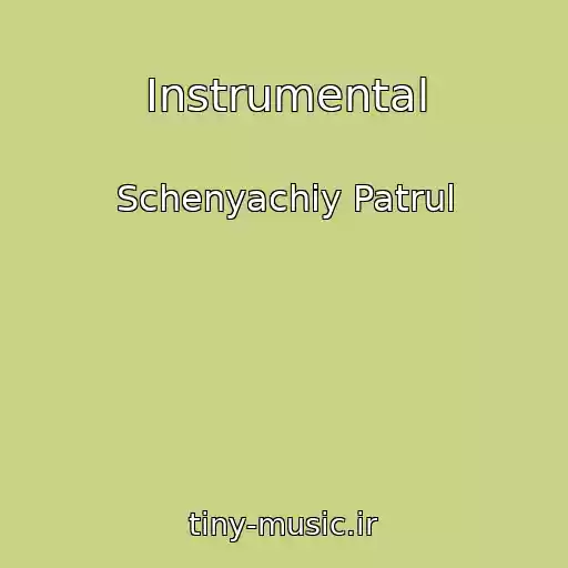 کاور آهنگ Instrumental از Schenyachiy Patrul