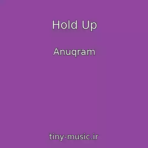 کاور آهنگ Hold Up از Anuqram