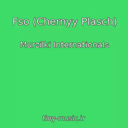 کاور آهنگ Fso (Chernyy Plasch) از Murzilki Internationals