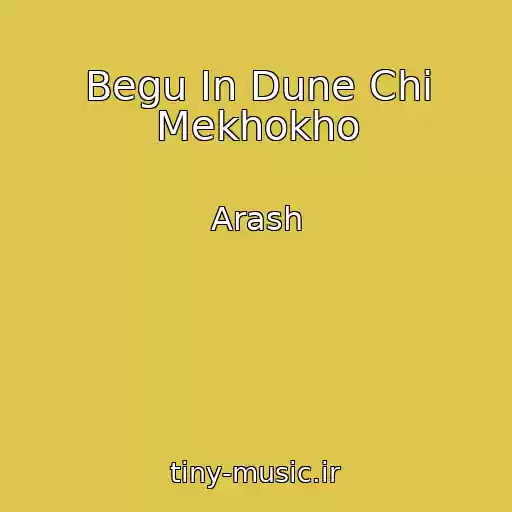 کاور آهنگ Begu In Dune Chi Mekhokho از Arash